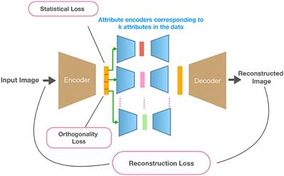 Orthogonality and graph divergence losses promote disentanglement in generative models